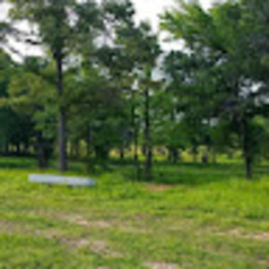 Meet your Posher, Judy